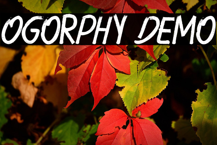 Ogorphy Demo Example 3