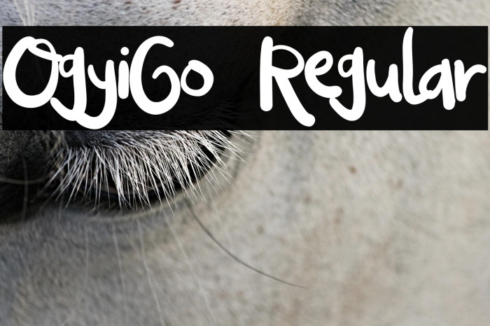OgyiGo Regular Example 1