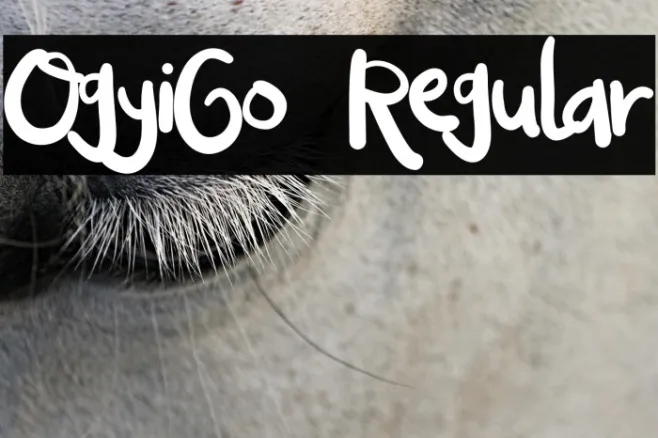 OgyiGo Regular Example 1
