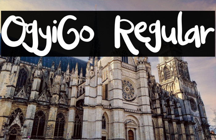 OgyiGo Regular Example 2