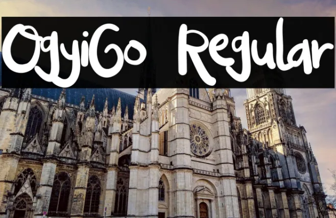 OgyiGo Regular Example 2