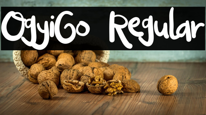 OgyiGo Regular Example 3