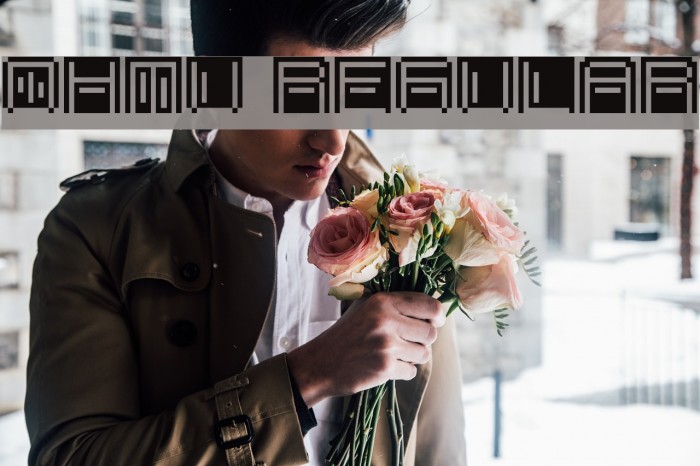 OHMU Regular Example 2