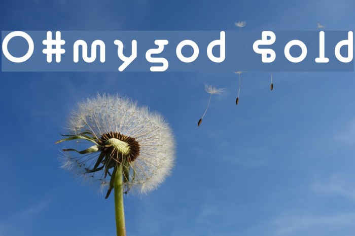 OHmygod Bold Example 1