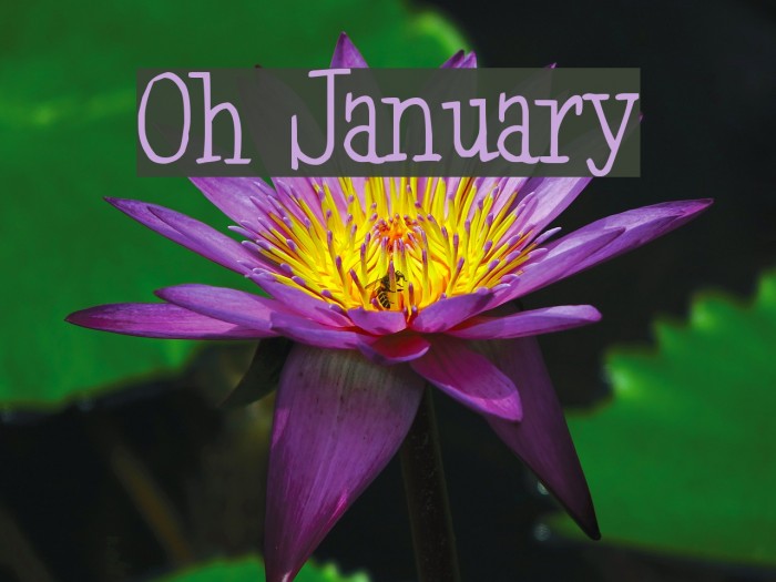 Oh January Font examples