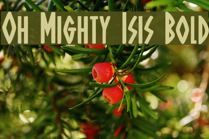 Oh Mighty Isis Bold Font examples