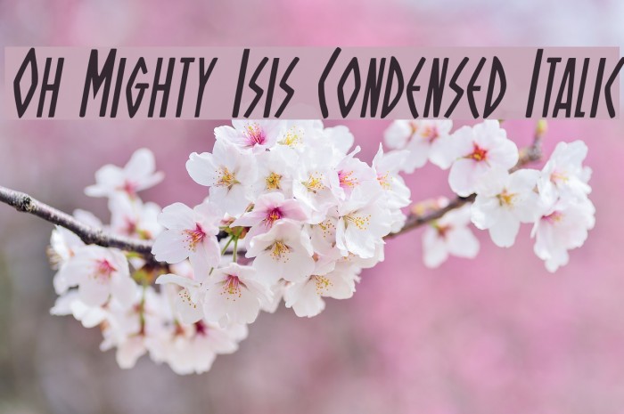 Oh Mighty Isis Condensed Italic Font examples