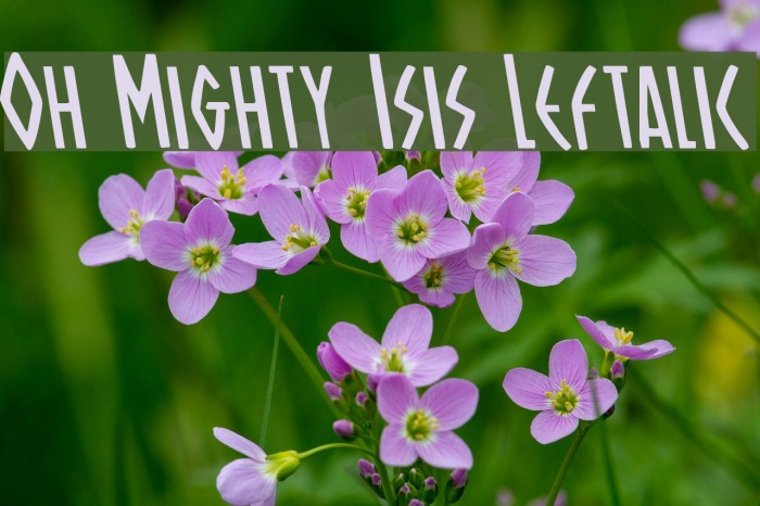 Oh Mighty Isis Leftalic Font examples