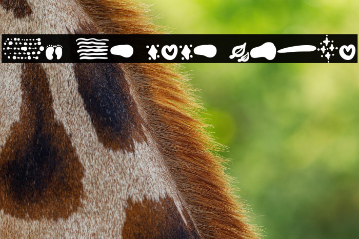 Oh My Baby Extra Example 1