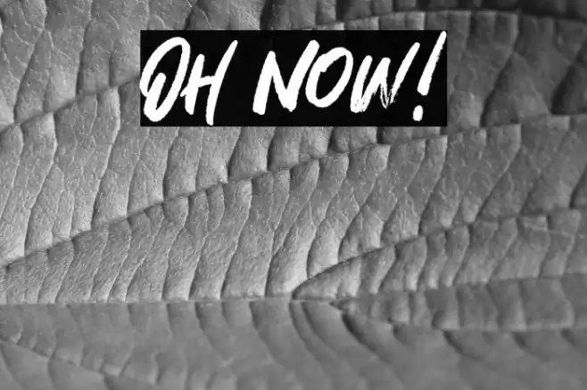Oh Now! Font examples