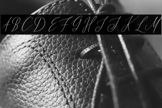 Oh, Samantha Font examples