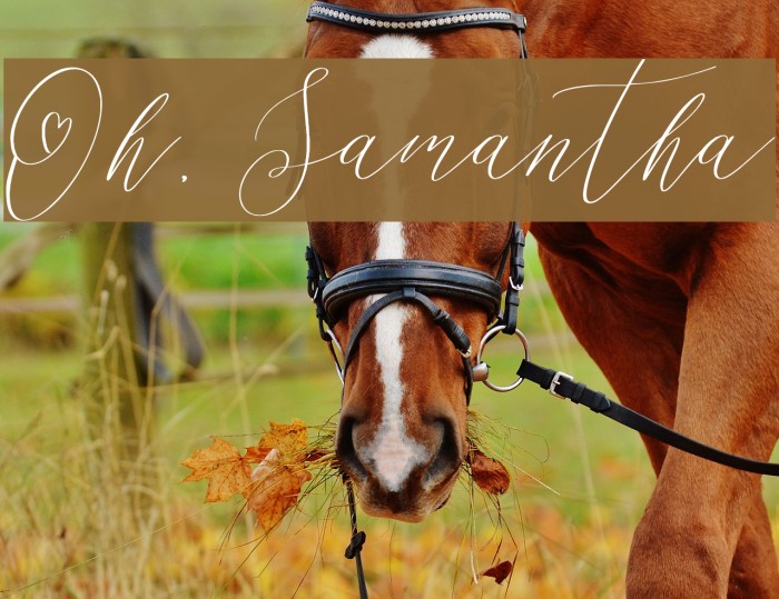 Oh, Samantha Example 2