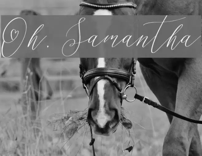 Oh, Samantha Font examples