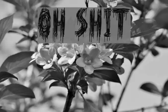 Oh Shit Font examples