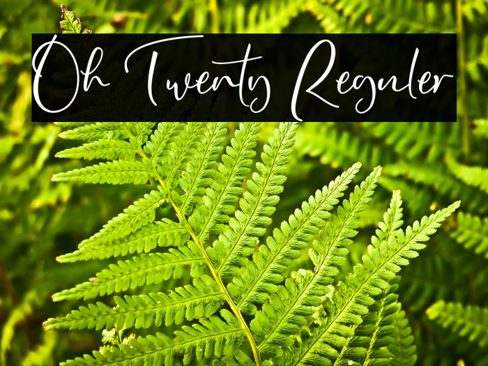 Oh Twenty Reguler Example 2