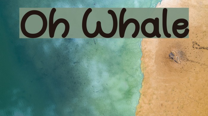 Oh Whale Font examples