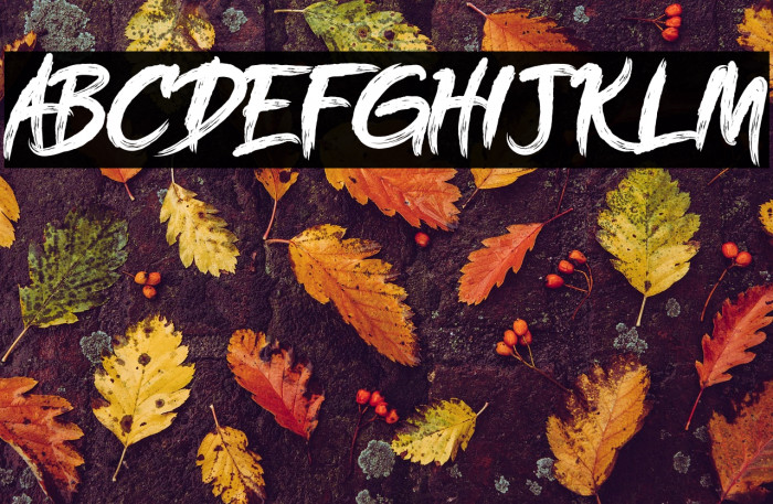 Oh! golds DEMO Example 1