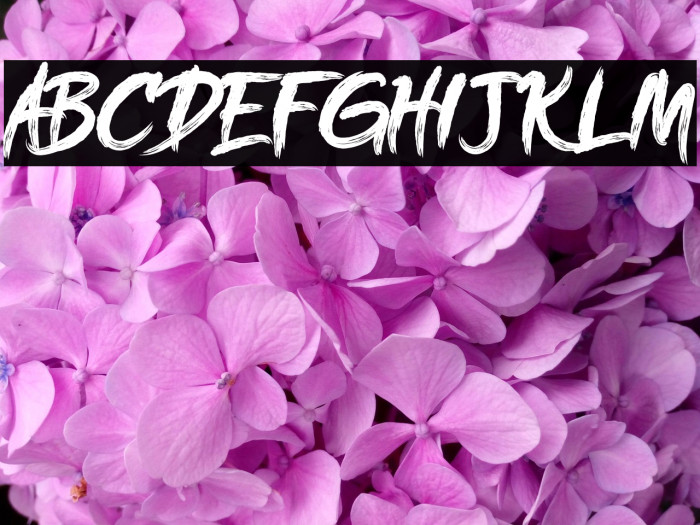 Oh! golds DEMO Example 3