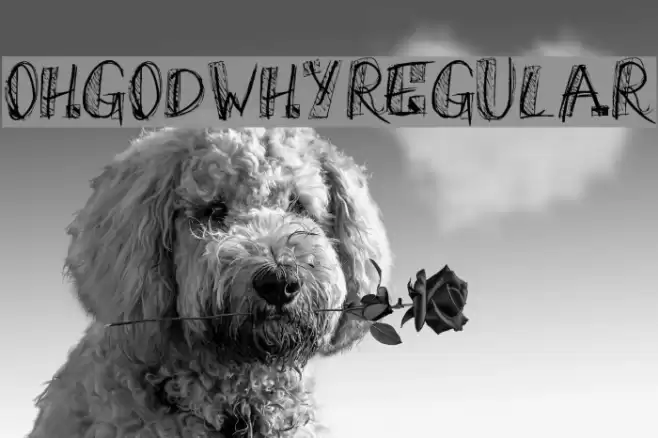 OhGodWhy-Regular Schriftart examples