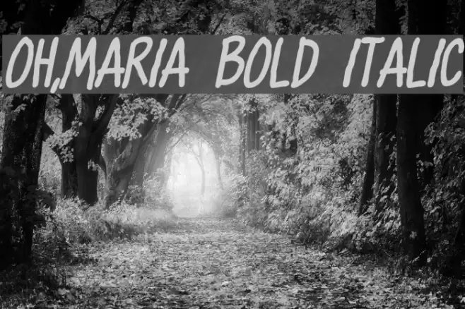 Oh,Maria Bold Italic Font examples