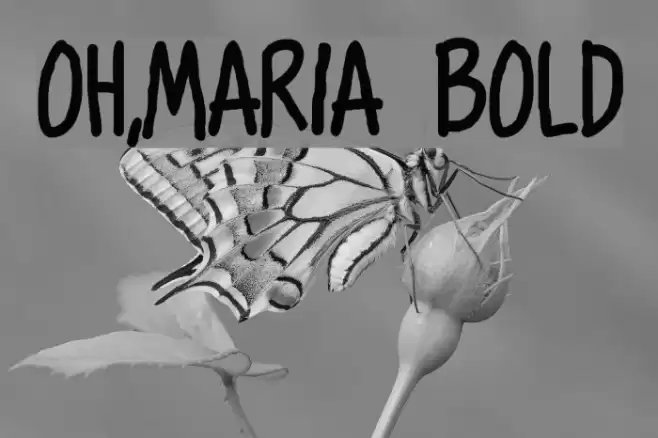 Oh,Maria Bold Font examples