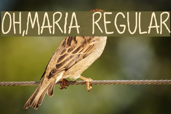 Oh,Maria Regular Example 2