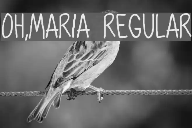 Oh,Maria Regular Font examples
