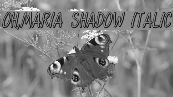 Oh,Maria Shadow Italic Font examples
