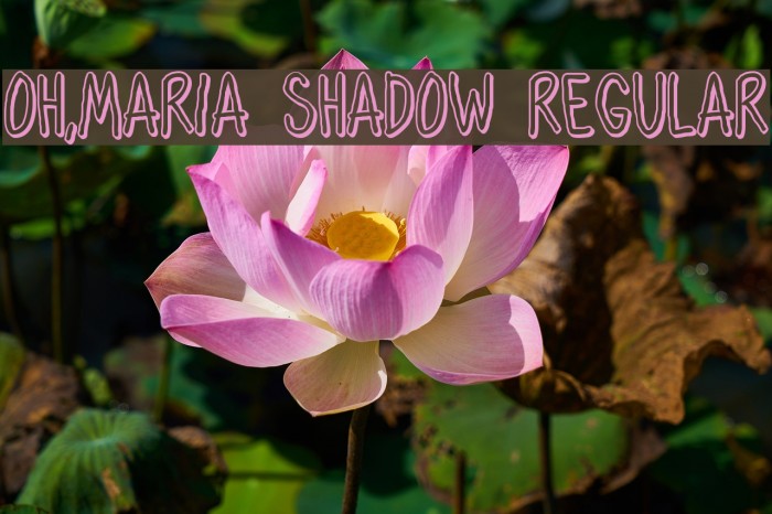 Oh,Maria Shadow Regular Font examples