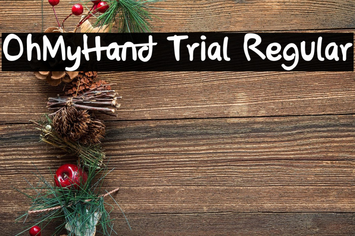 OhMyHand Trial Regular Example 3