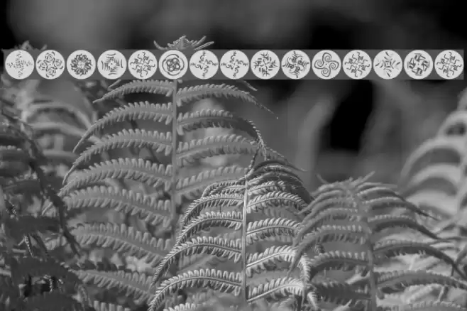 OhRosettaDiscus Font examples