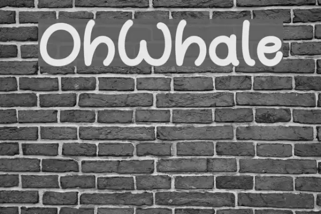 OhWhale Font examples