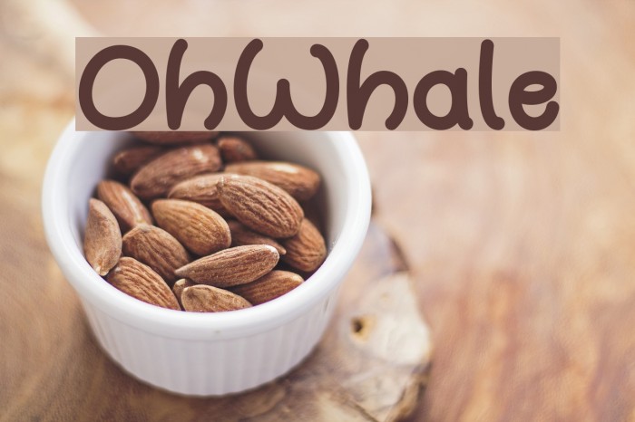 OhWhale Font examples