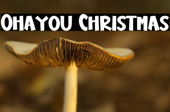 Ohayou Christmas Example 3