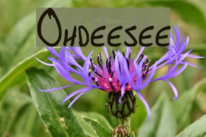 Ohdeesee Font examples