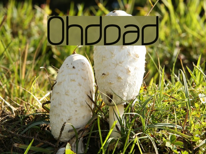 Ohdoad Example 2