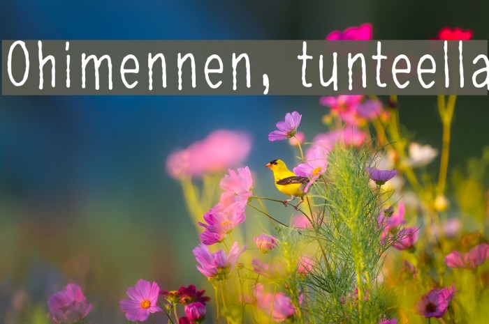 Ohimennen, tunteella Шрифта examples