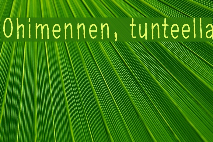 Ohimennen, tunteella Шрифта examples