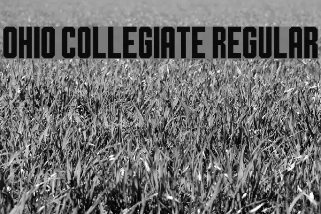 Ohio Collegiate Regular Font examples