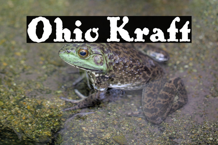 Ohio Kraft Example 3