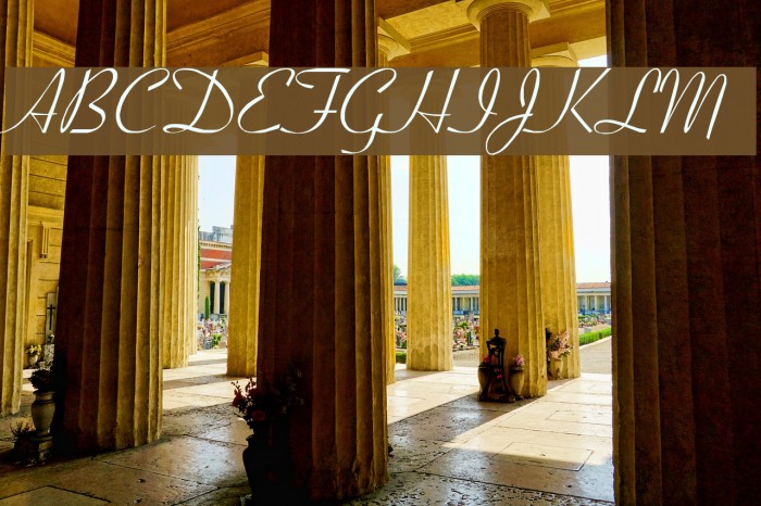 Ohio Script Font examples