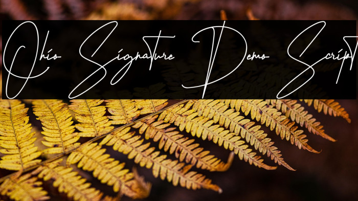Ohio Signature Demo Script Example 1