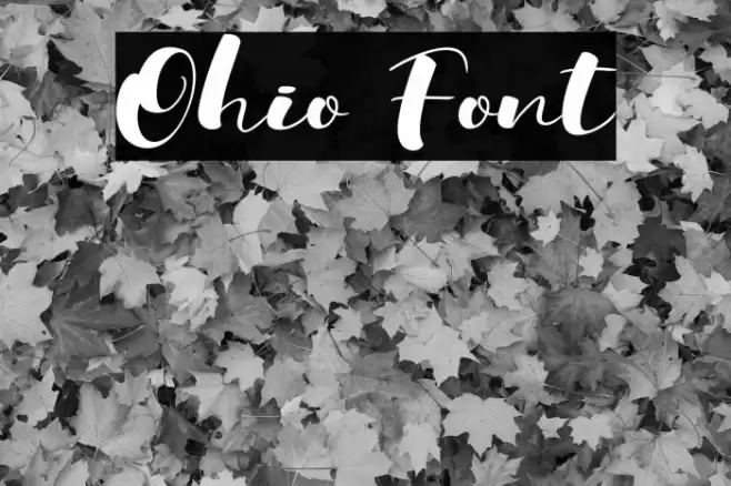 Ohio Font examples