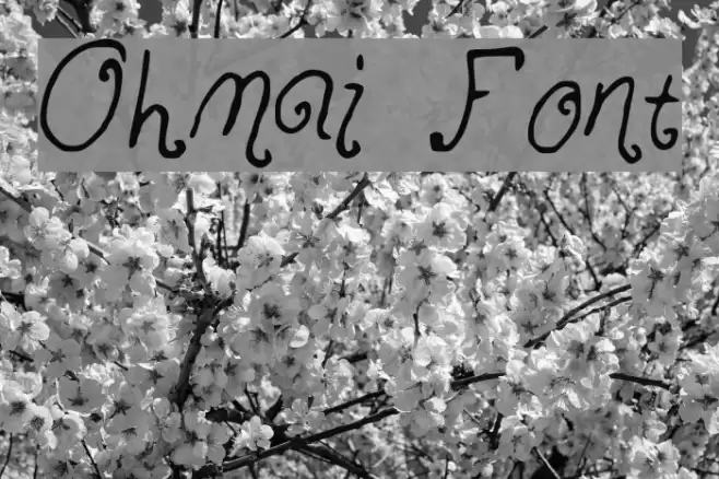 Ohmai Font examples