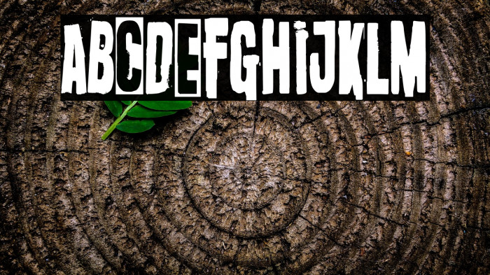 Oi! Survive Poster Example 1