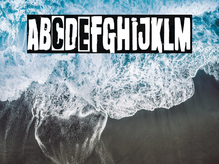 Oi! Survive Poster Example 2