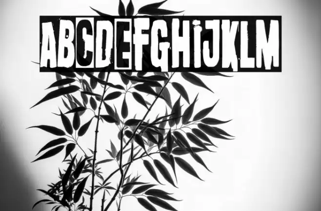 Oi! Survive Poster Font examples