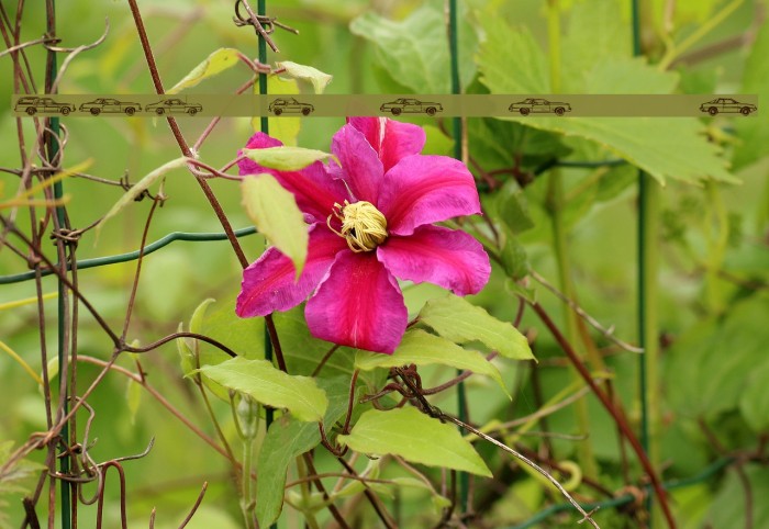 Oil Crisis B Example 3