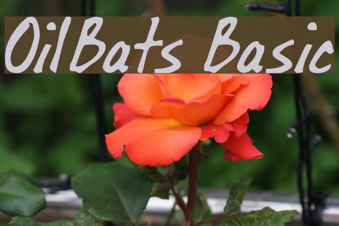OilBats Basic Schriftart examples