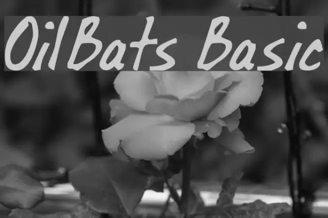 OilBats Basic خط examples